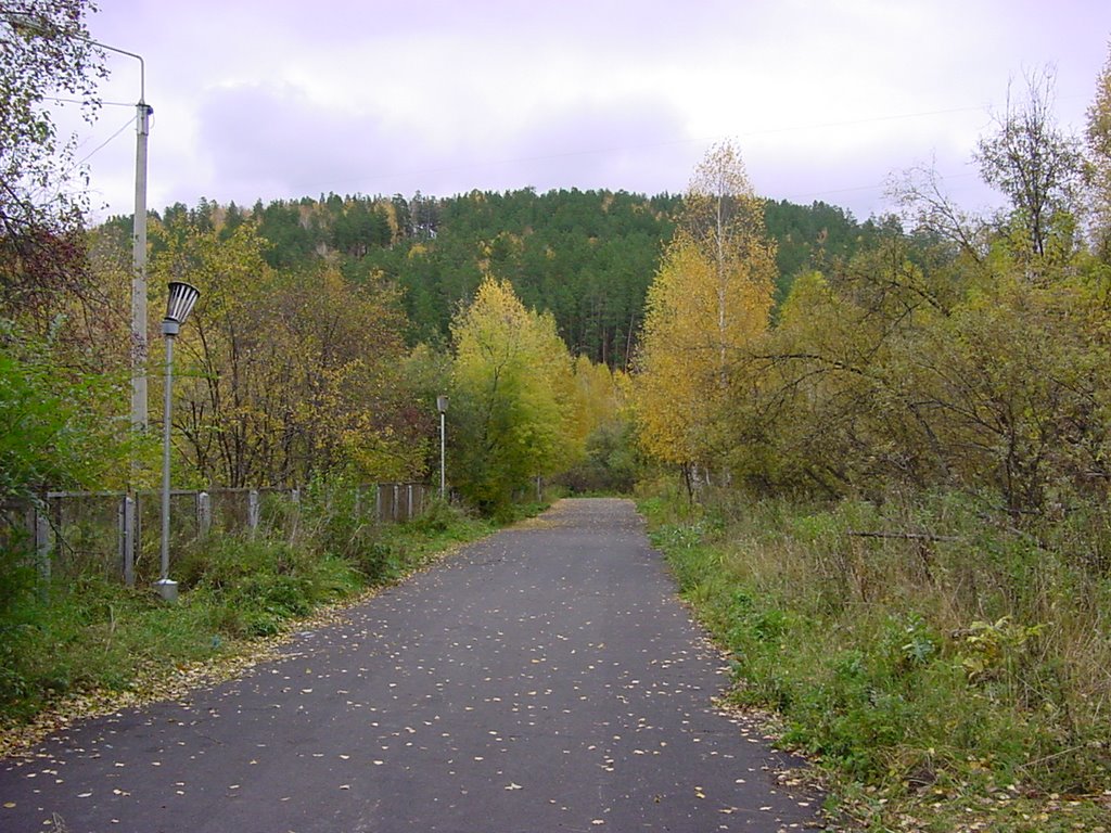 тоже аллея