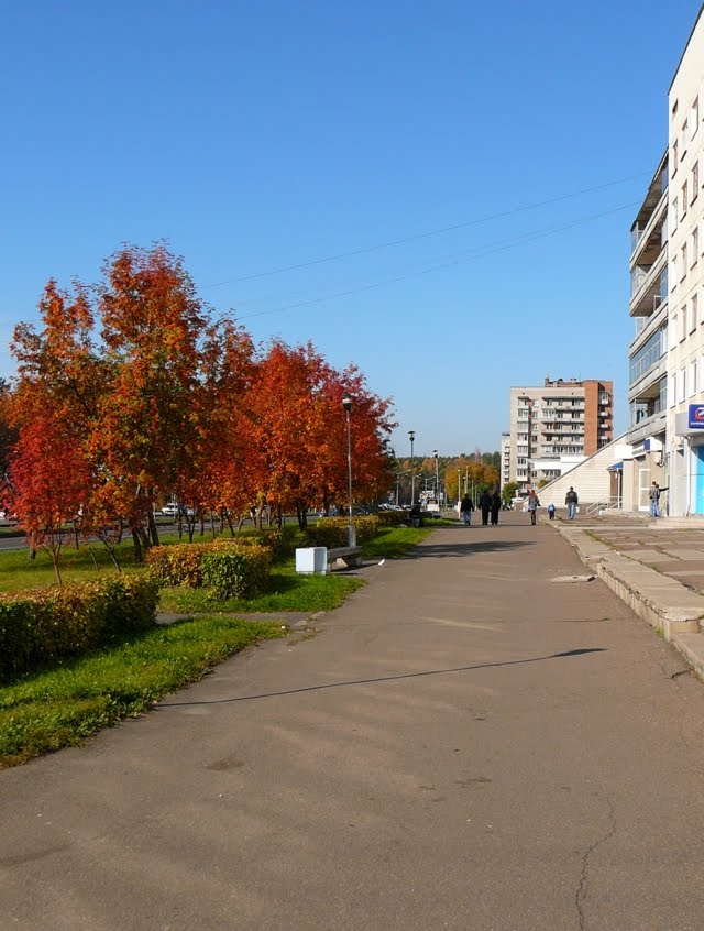 ул. Курчатова д.48