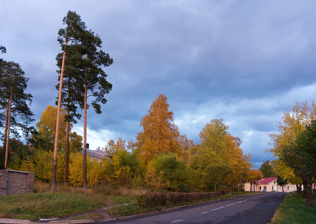 Ул. Штефана, осень