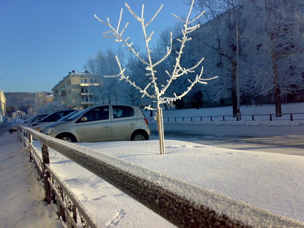 ул. решетнева