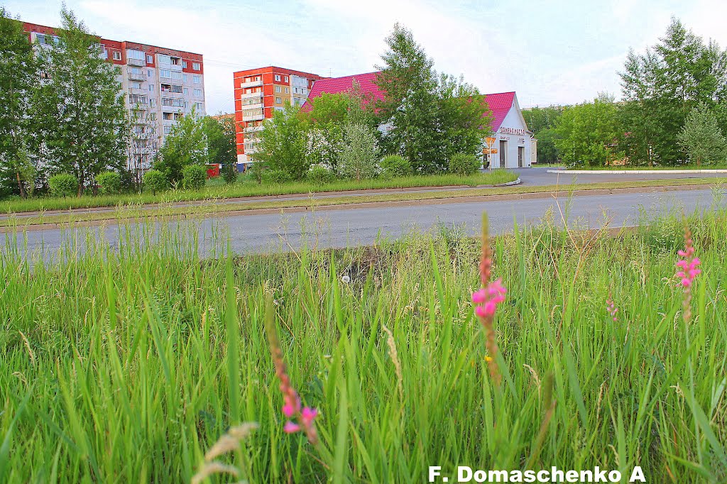 Россия, Красноярский край, Шарыпово