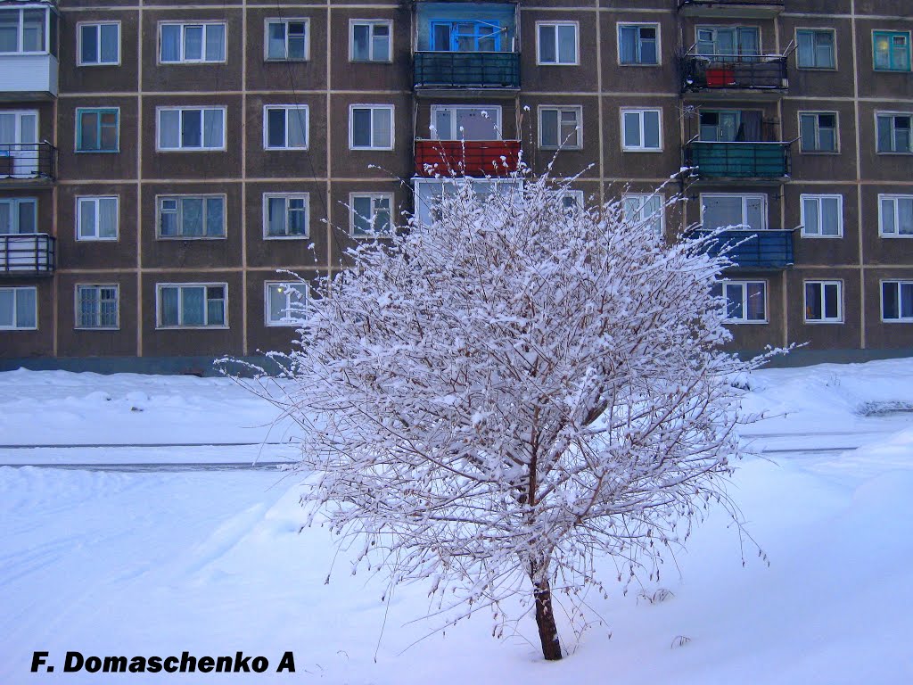 г. Шарыпово