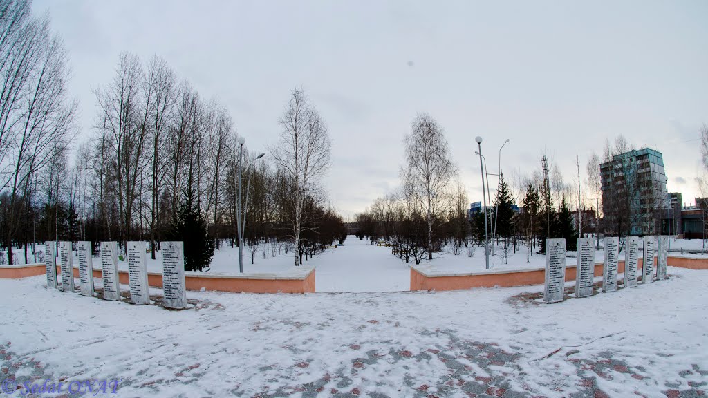 2012-11-18 - 007  (D5100+FishEye) (Saripovo)