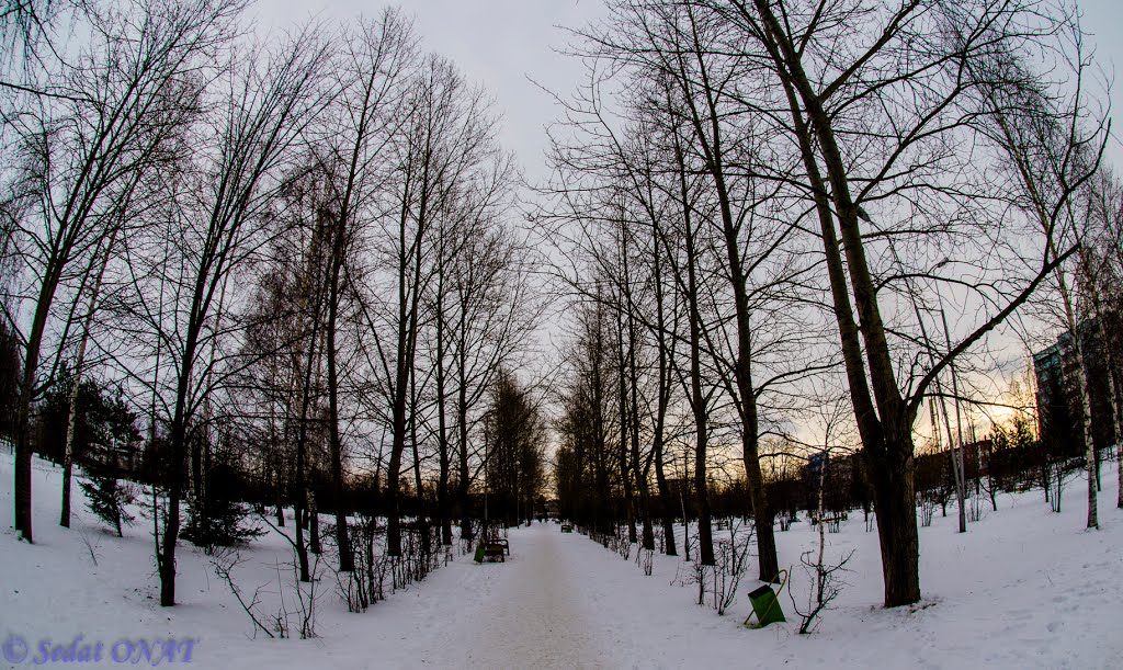 2012-11-18 - 008  (D5100+FishEye) (Saripovo)