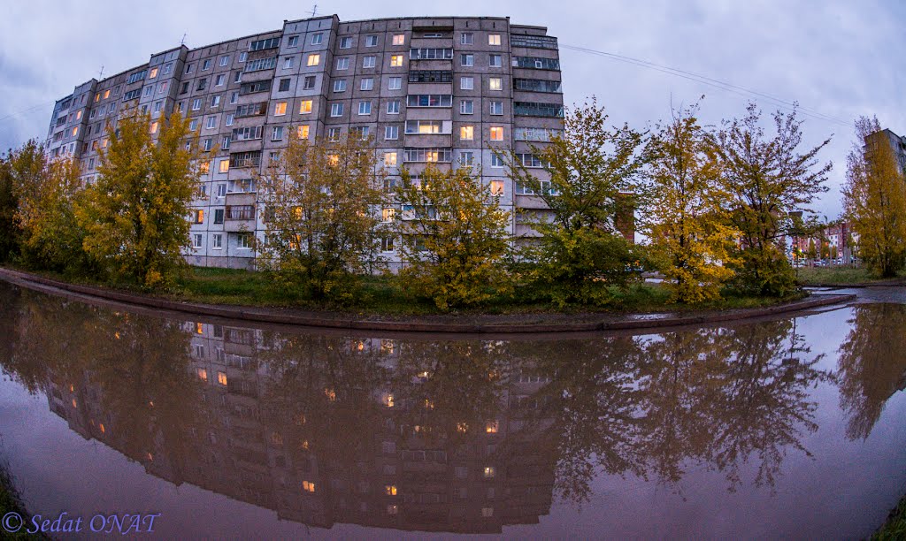 2013-09-29 - 20_02_30 - (Sharypovo - -) - (NIKON D7100) - (Aperture priority, 1-30 sec at f - 4,0, ISO 2000, 10 mm(35mm eqv), Pattern, -1 EV, Did not fire).jpg