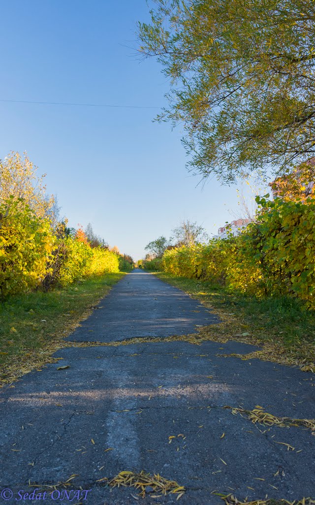 2013-10-06 - 17_56_35 - (Sharypovo)