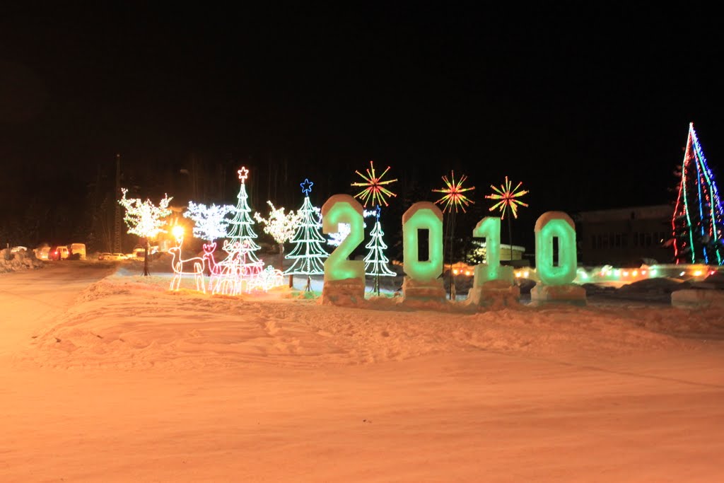 Новогодняя композиция_2010_New Years composition