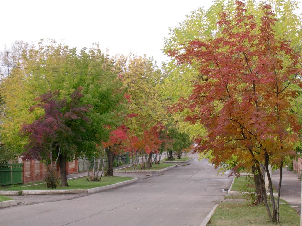DSCN1999_