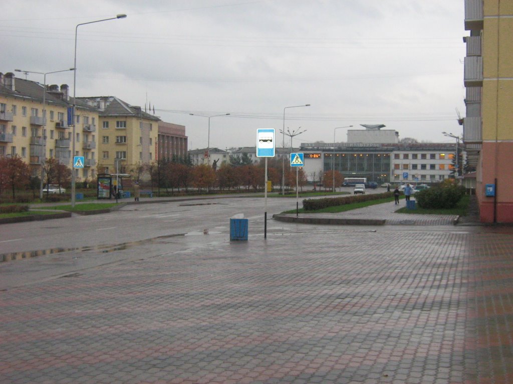 Зеленогорск.улица Мира