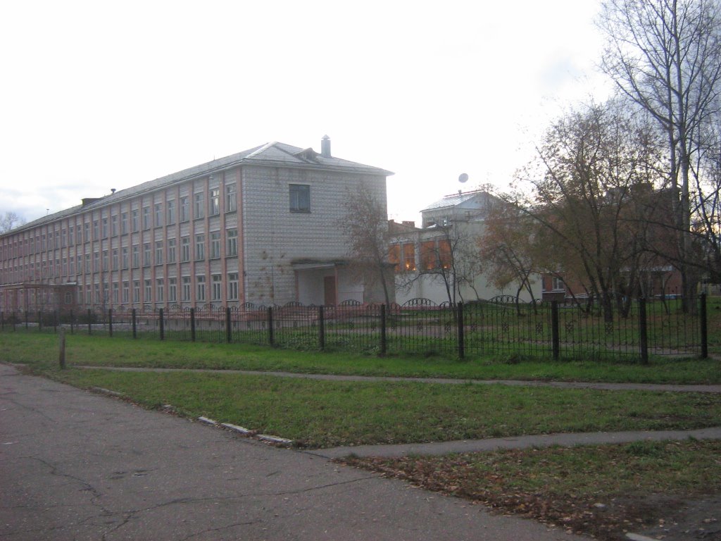 Zelenogorsk Scool 169