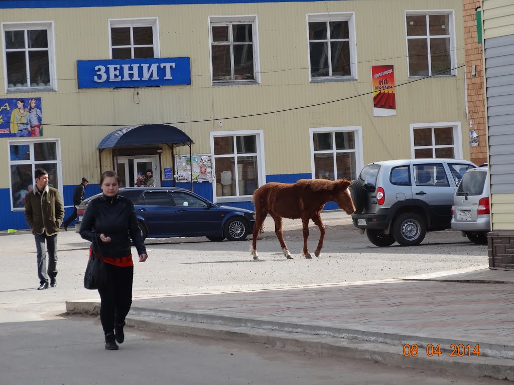 Заблудился