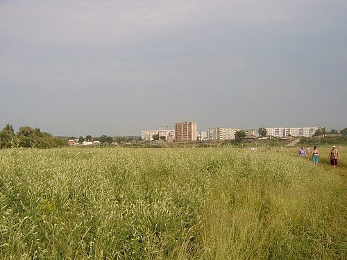 Дорога с пляжа реки Чулым