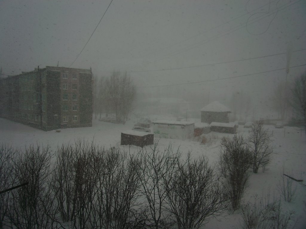 Вид на двор. ЮВР