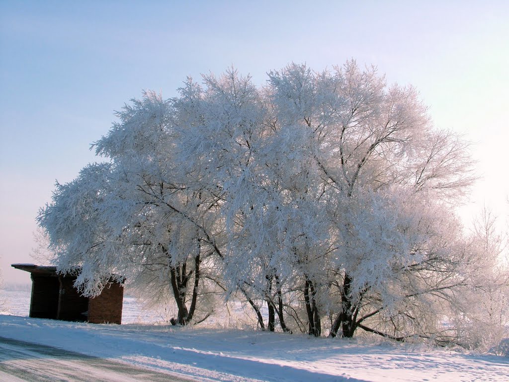 Курагино (2007 год)