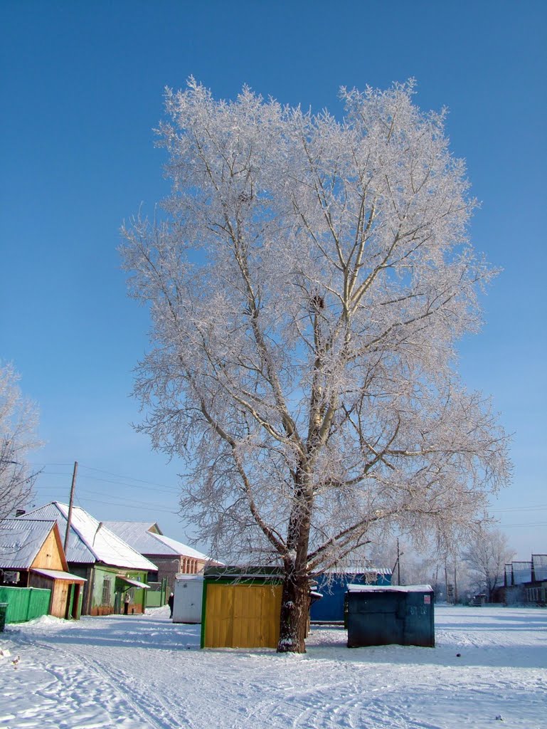 Курагино (2007 год)