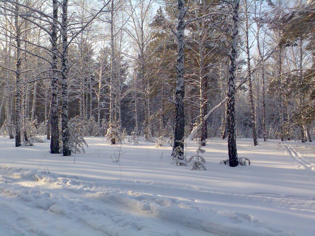 -20 С
