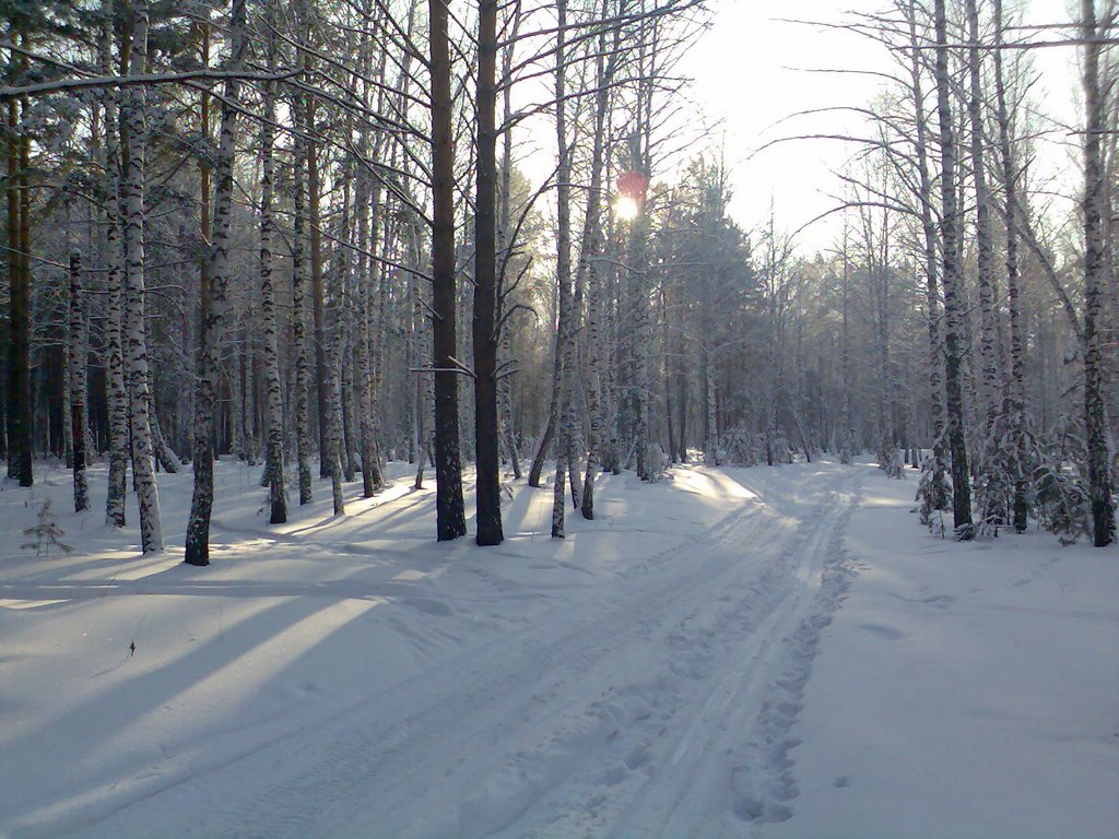 Зима