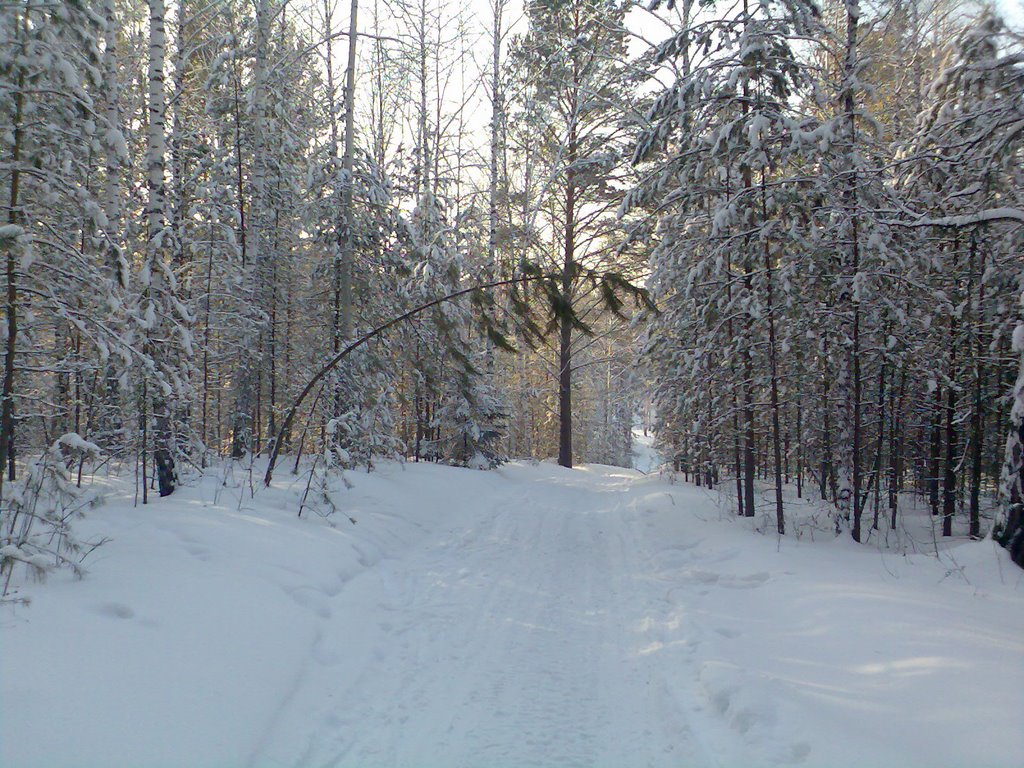 Пионерка