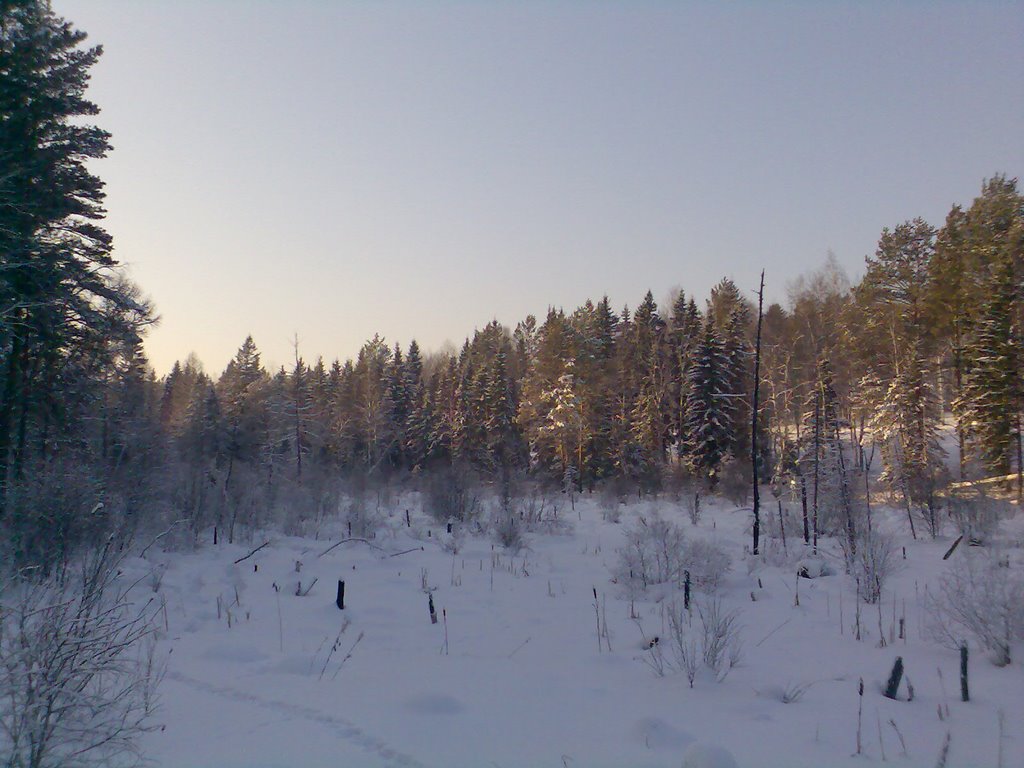 Болото