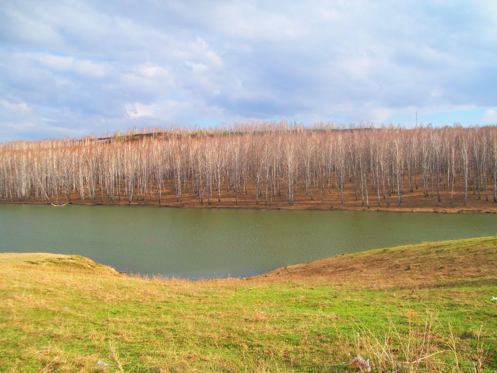 город БОРОДИНО ПАРК ОЗЕРО ВЕСНА 2010