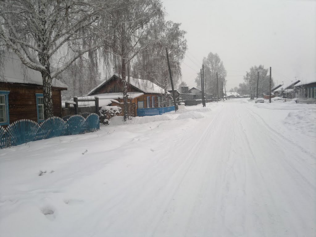 Улицы села Дзержинское