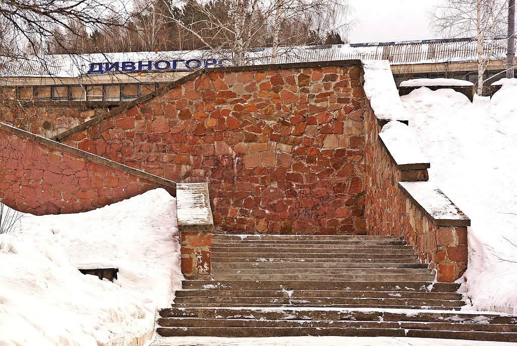 г. Дивногорск..