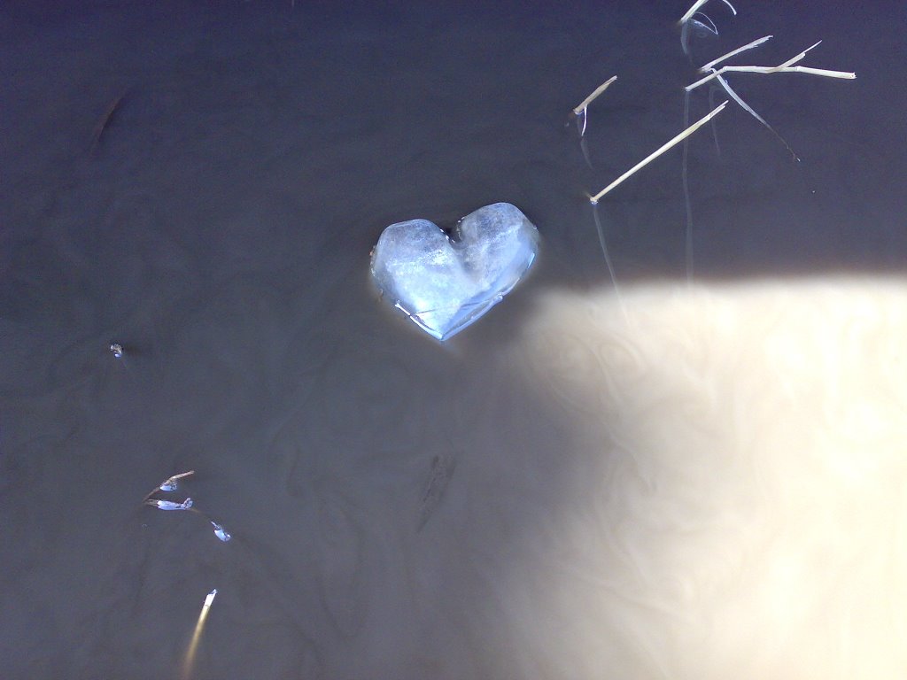 IceHeart