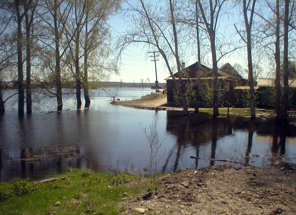 Наводнение 2004