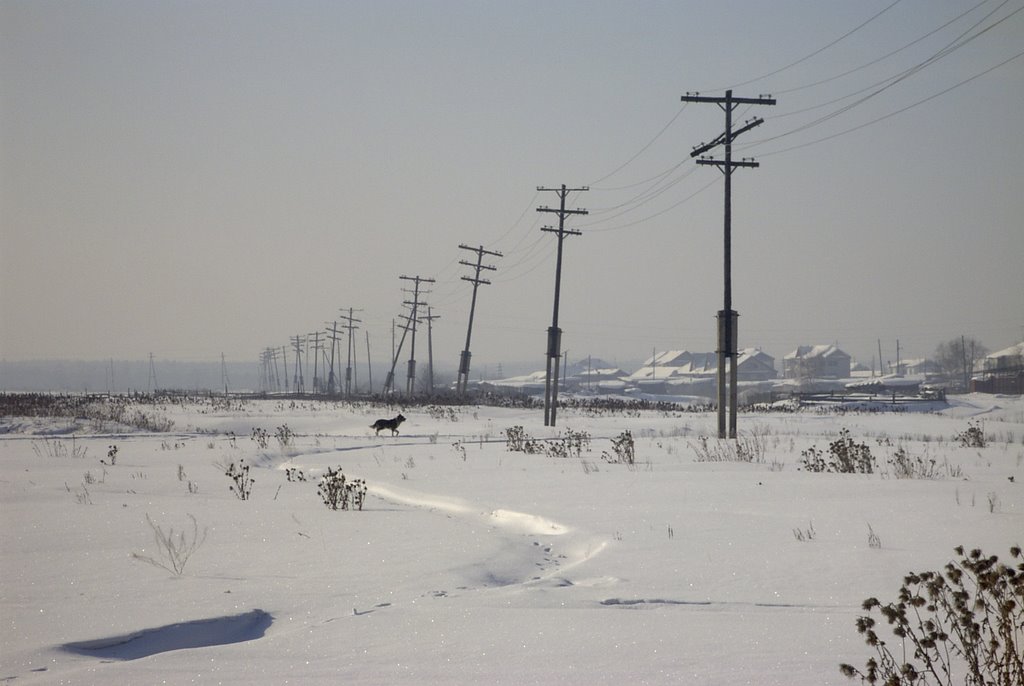 energyline