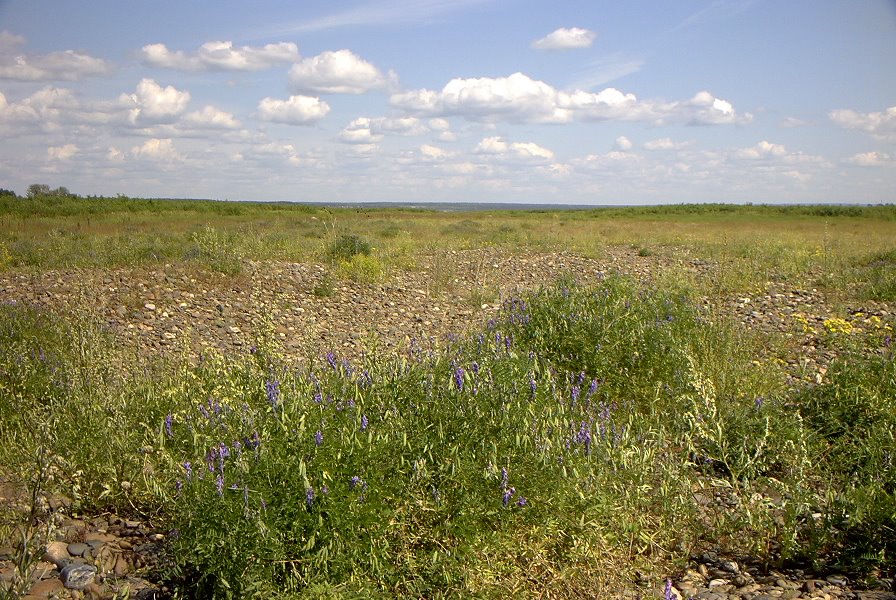Eastside of Yenisei
