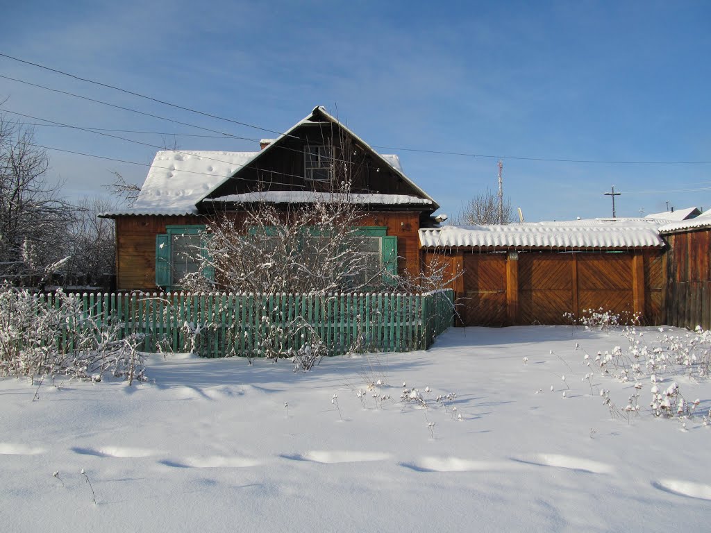 Дом Николая Степановича