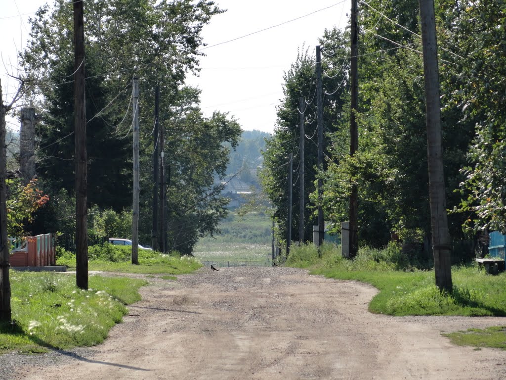 Улица в посёлке
