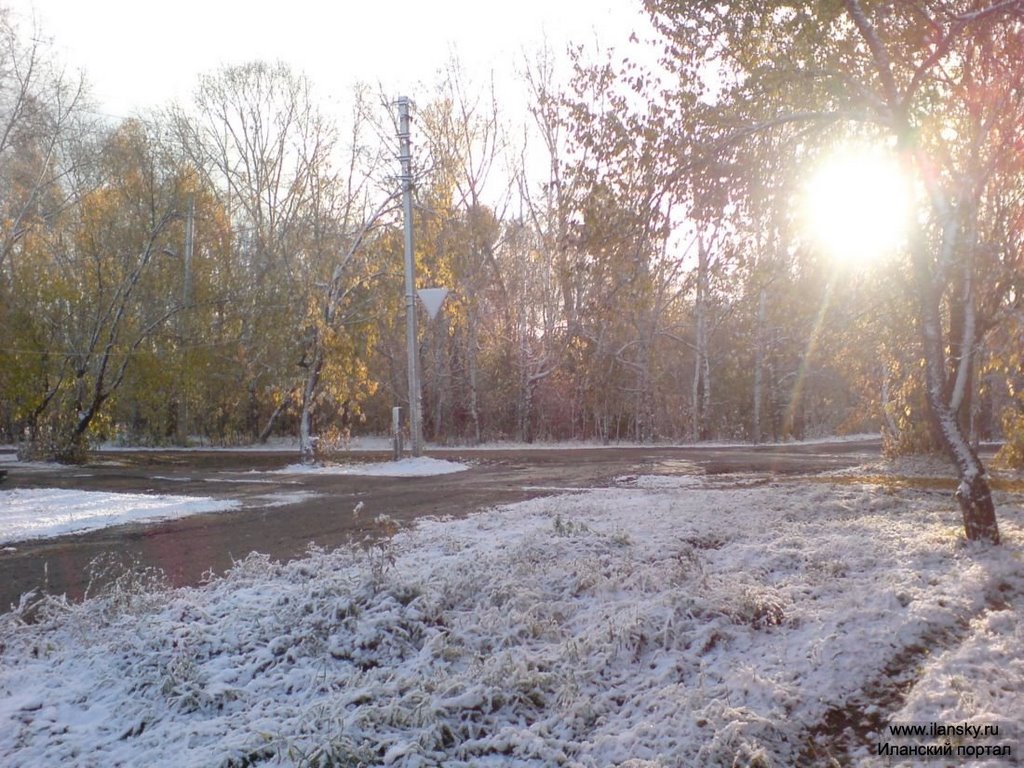 Городской парк, Иланский