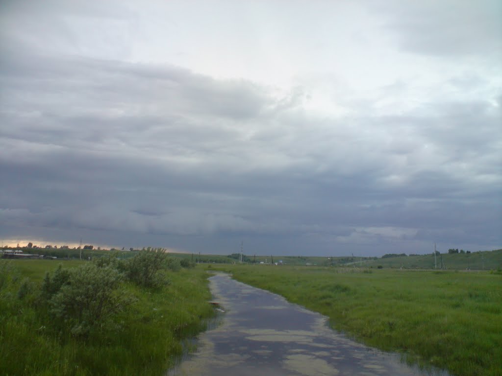 Ирбейское болото