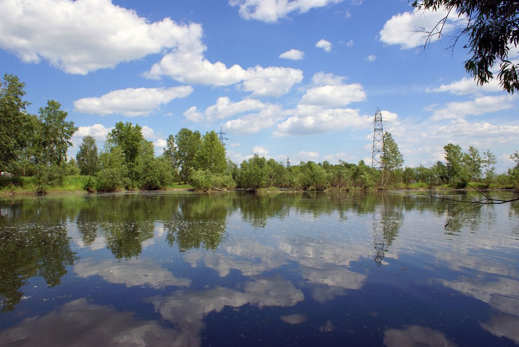остров Посадный