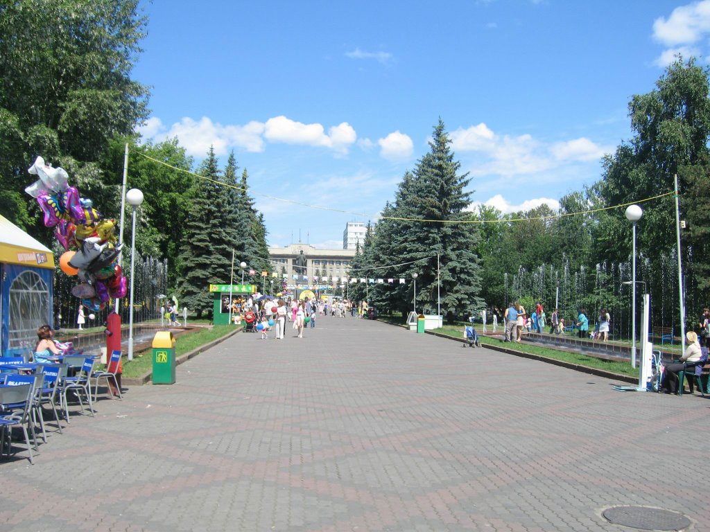 Avenue in the central park of Krasnoyarsk