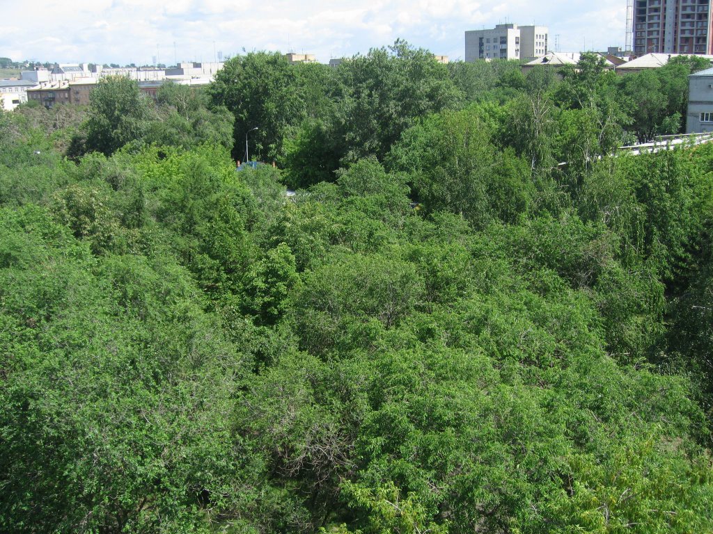View from the ferris wheel