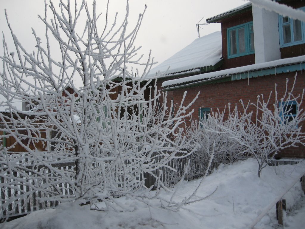 Зимний сад