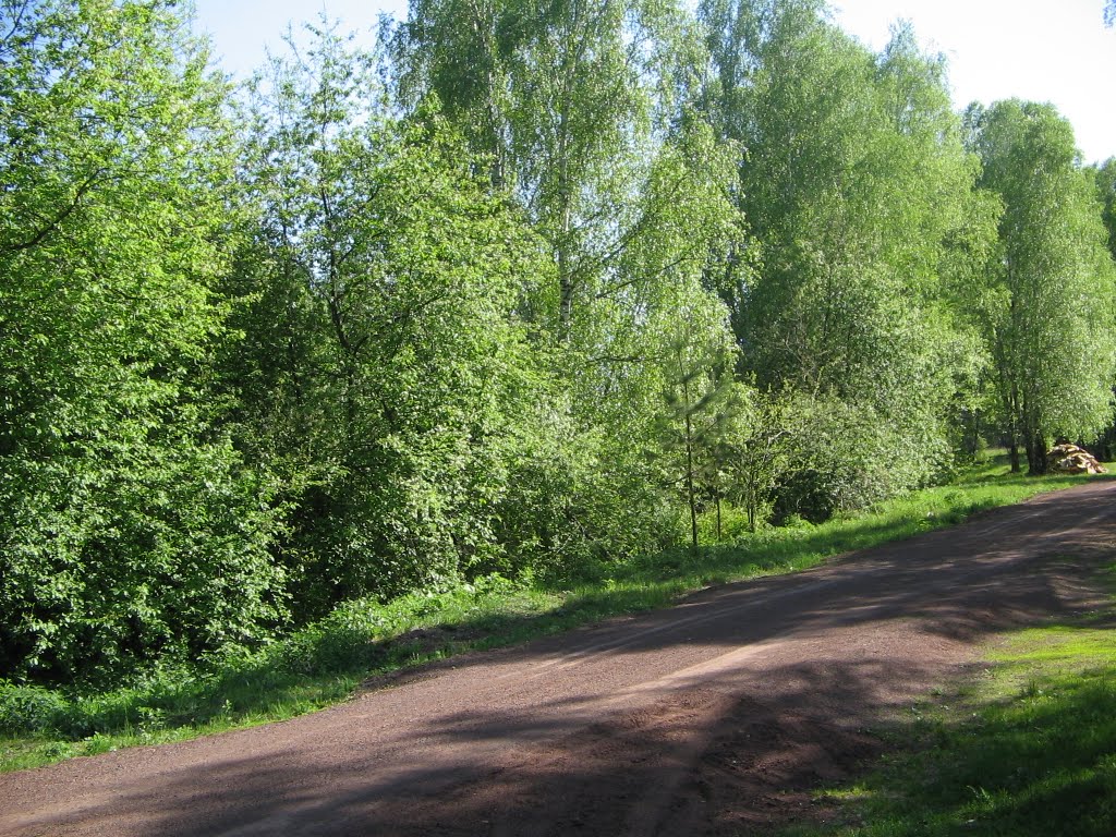 улица Лесная