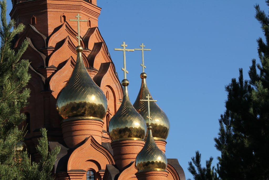 Купола Крестовоздвиженского храма.