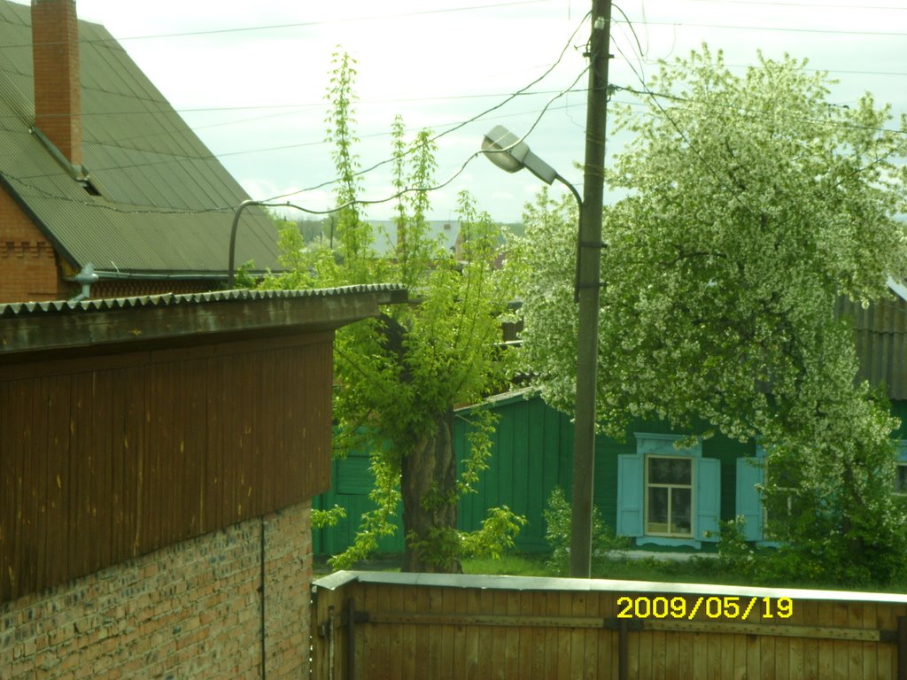 Утро на улице ШУМИЛОВА 12 - 2009г.