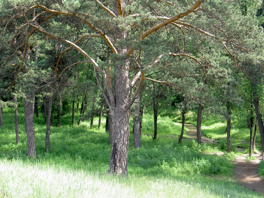 Парк Минуса