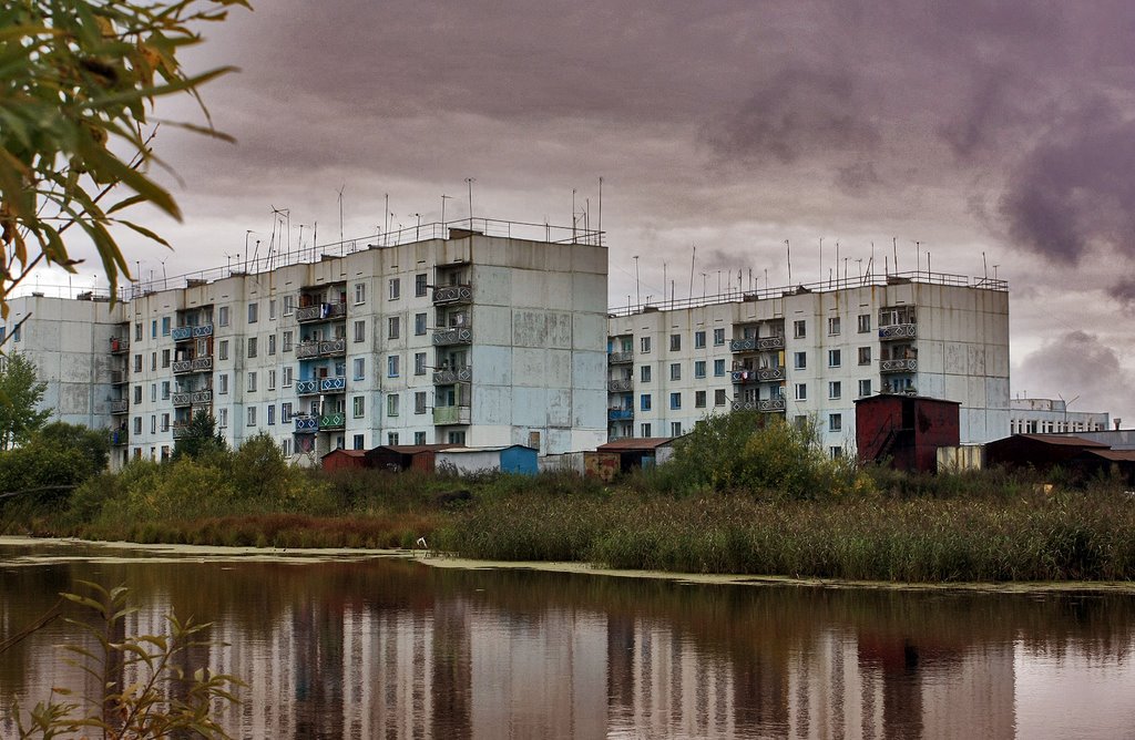 Непричесанные дома