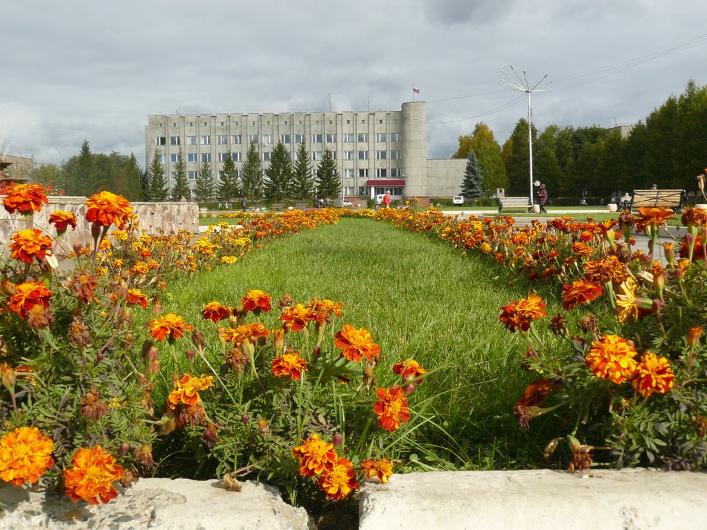 Клумба шафрана на центральной площади
