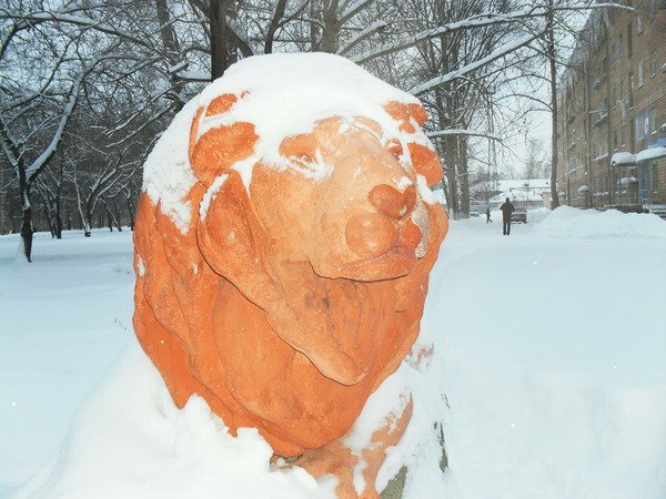 Красноярский край г. Назарово