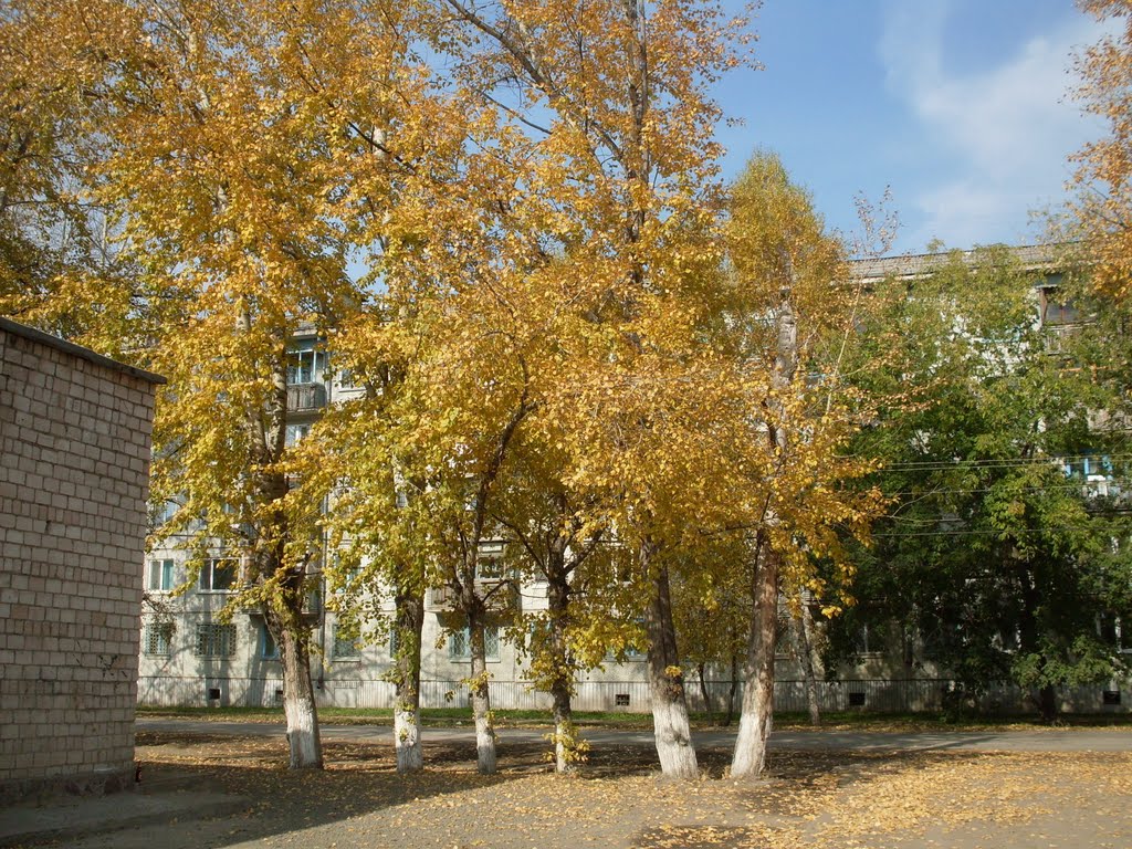 улица Школьная