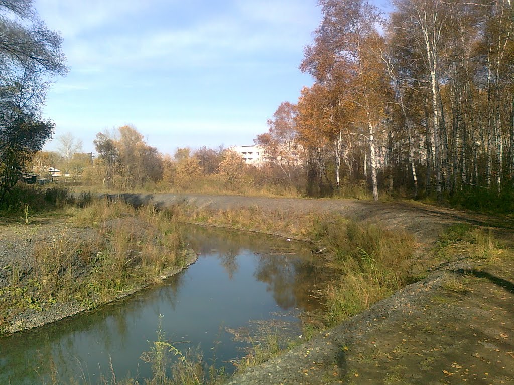 Березовая роща р.Ададымка