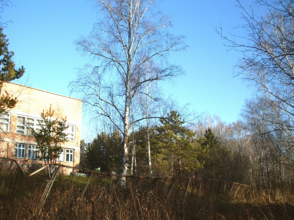 Берёзовая роща, больница