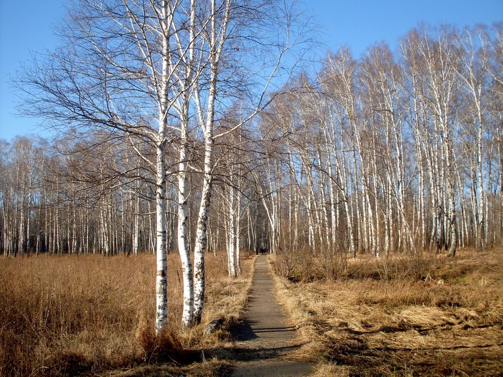 Осень, ноябрь