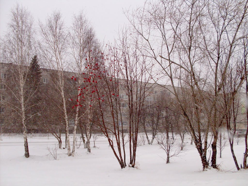 ул. Карла Маркса